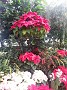 20151213_122100