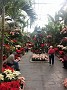 20151213_122108