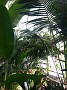 20151213_122709