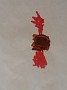 20150513_074353