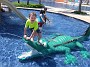 DSCF2983