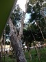 DSCF3164