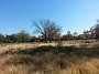 20151103_111153