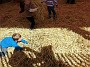 20151011_123303