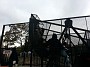 20151025_130336