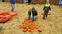 20151025_130700