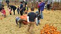 20151025_130720