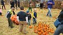 20151025_130725