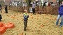 20151025_130740