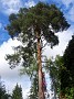 20150907_134255