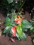 20150912_203234