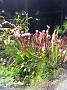 20150912_203525