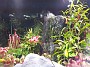 20150912_203736