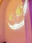 DSCF4147