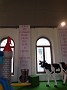 DSCF4166