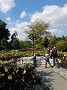 DSCF4357