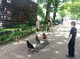 20170527_115411