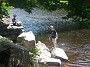 20170610_122029