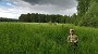 IMG_20170707_185350527_HDR
