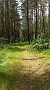 IMG_20170707_190825508