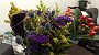 IMG_20170719_221917007