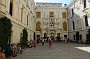 DSC02516