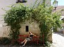 DSC02643