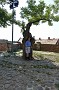 DSC03157
