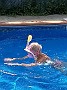 IMG_20170816_145256927