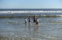 DSC03334
