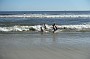 DSC03336