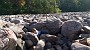IMG_20170910_154626755
