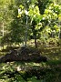 IMG_20170916_133828668