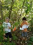 IMG_20170916_135505793