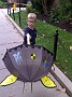 IMG_20170919_183706581