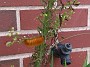IMG_20170921_133852819