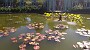 IMG_20170923_134430848