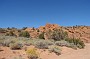DSC03918