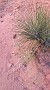 IMG_20171015_104418547