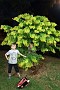 IMG_20171005_201037208