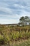 IMG_20171021_162920128_HDR