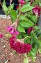 IMG_20171024_132108104