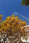 IMG_20171028_144223251