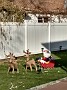 IMG_20171130_132438343_HDR