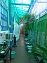 20170208_170519