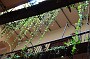 DSC00775