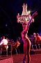 DSC00979