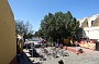 DSC01055