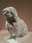 20170318_123548