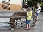 20170412_192600